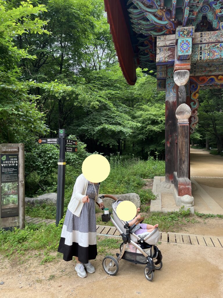 Entrance to the fir forest path