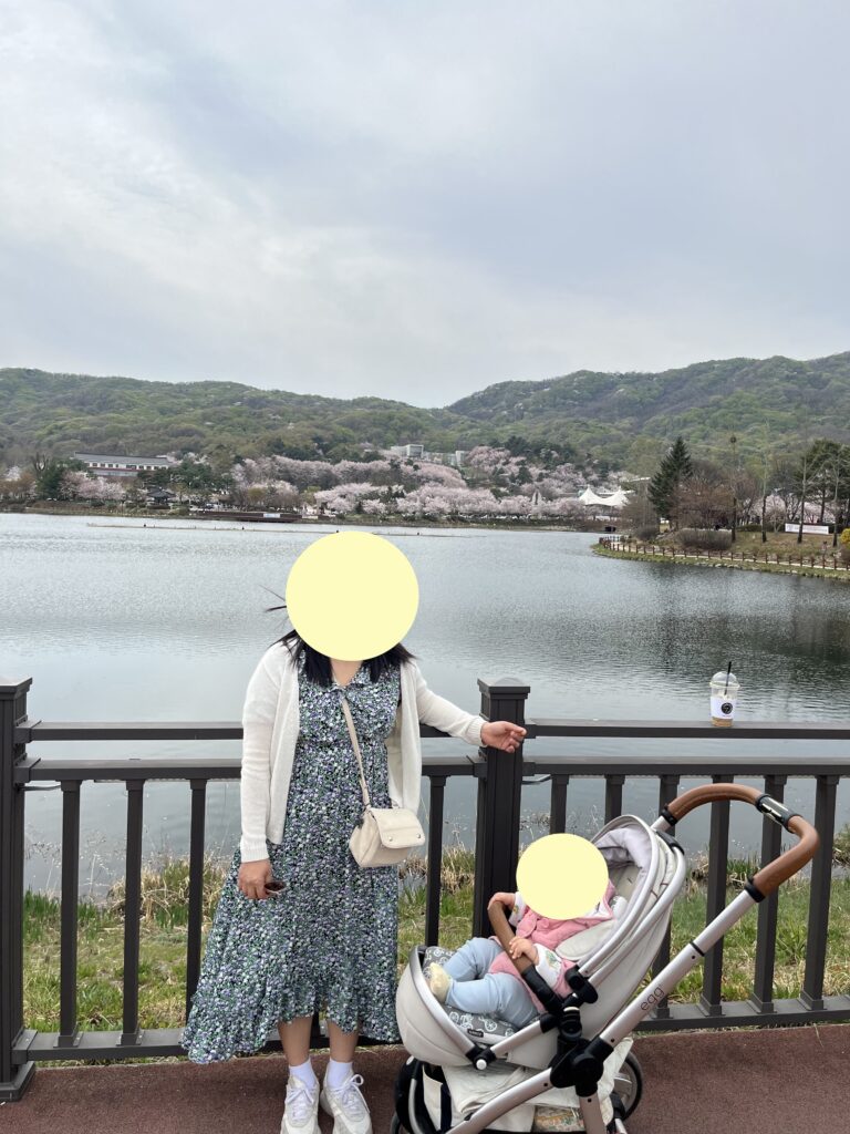Cherry Blossoms at Seolbong Park, Icheonsi