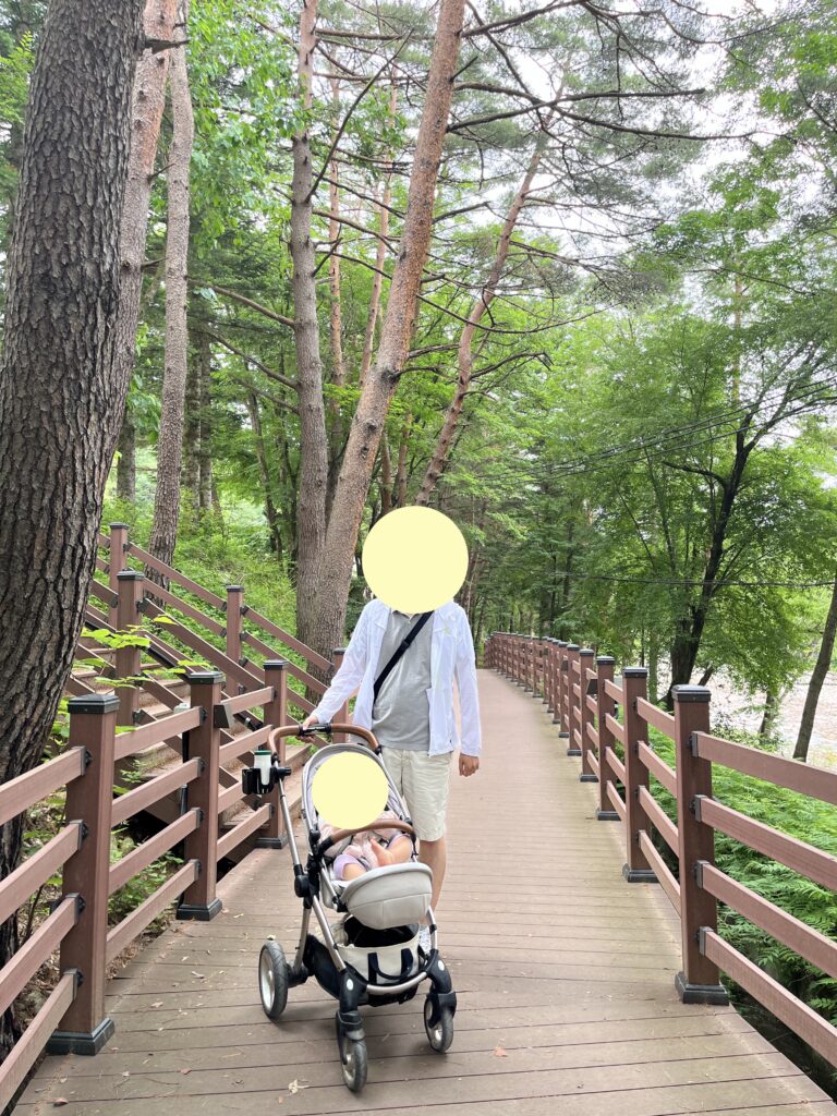 The fir tree forest path at Woljeongsa Temple is also great for strolling with a stroller.