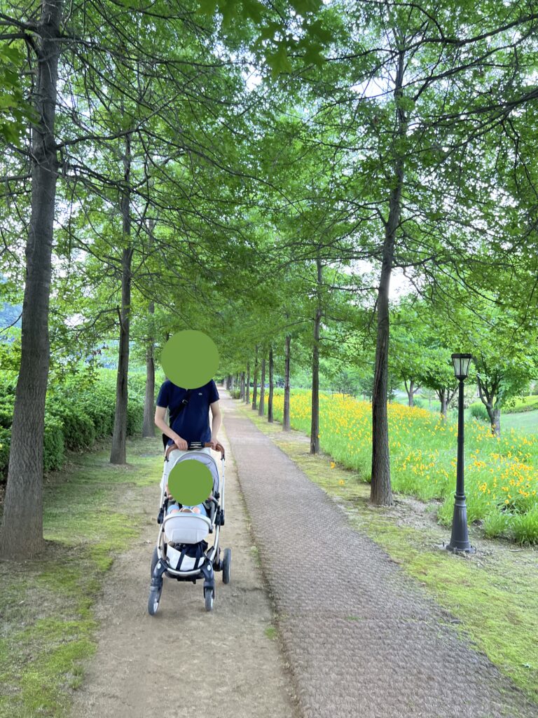Pyeongchang Kensington Gardens Forest Path