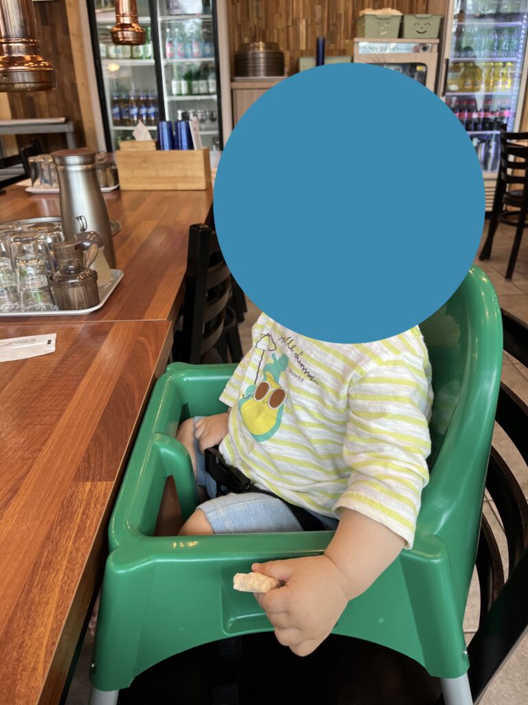 Wow Daegwallyeong Hanwoo Baby Chair